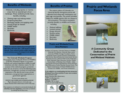 Prairie and Wetlands Focus Area - Bird Conservancy of the Rockies