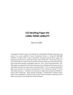 CCS Briefing Paper #3: LONG-TERM LIABILITY