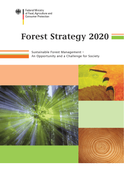 Forest Strategy 2020