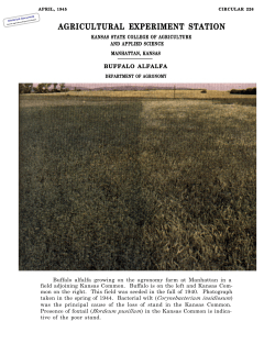 SC226 1945 Buffalo Alfalfa - K