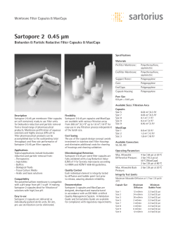 Sartopore 2 0.45 µm