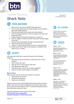 Shark Nets