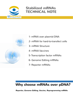 mRNA Structure - OZ BIOSCIENCES