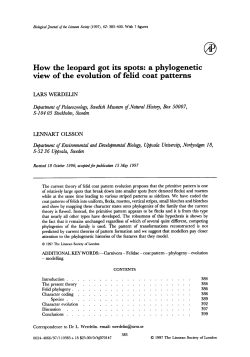 How the leopard got its spots: a phylogenetic view of the evolution of