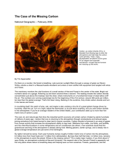 The Case of the Missing Carbon