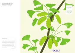 Rapport environnemental RISO 2016