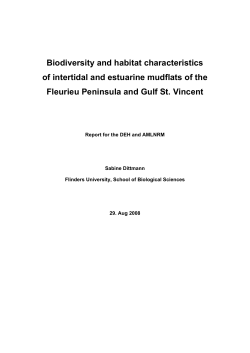 Biodiversity and habitat characteristics of intertidal and estuarine