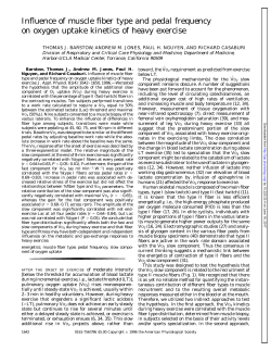 Influence of muscle fiber type and pedal frequency on oxygen