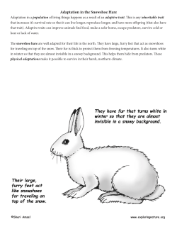 Adaptation in the Snowshoe Hare