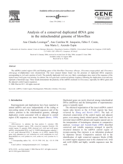Analysis of a conserved duplicated tRNA gene in the mitochondrial