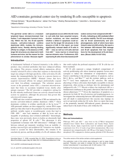 AID constrains germinal center size by rendering B