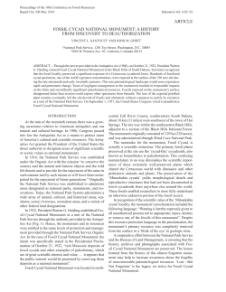 article fossil cycad national monument