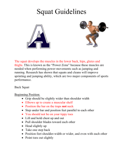 Squat Guidelines