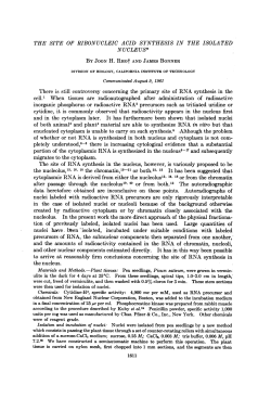 the nucleolus,`3 16, 18 the chromatin,`9
