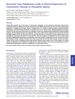 Recurrent Gene Duplication Leads to Diverse Repertoires of