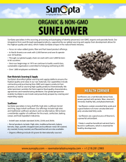 sunflower
