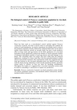 as a PDF