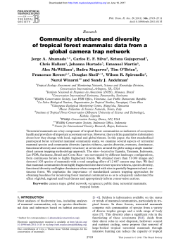 Community structure and diversity of tropical forest mammals: data