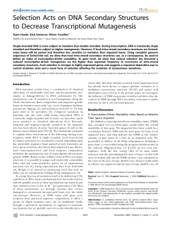 Selection Acts on DNA Secondary Structures to