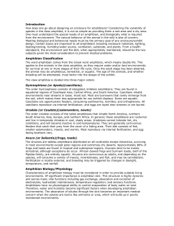 Amphibian Care Handout