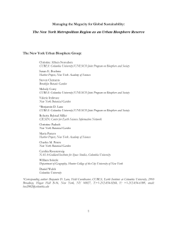 Managing the Megacity of Global Sustainability: The New York