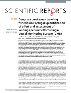 Deep-sea crustacean trawling fisheries in Portugal