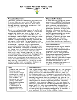Corn Fast Facts - Wisconsin Ag In the Classroom