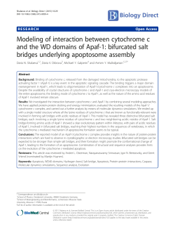 Modeling of interaction between cytochrome c and