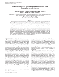Terminal Regions of Wheat Chromosomes Select Their Pairing