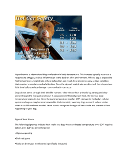 Hyperthermia is a term describing an elevation in body temperature
