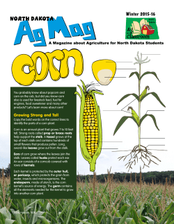 North Dakota Ag Mag - Corn