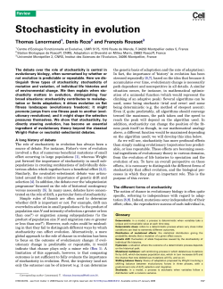 Stochasticity in evolution