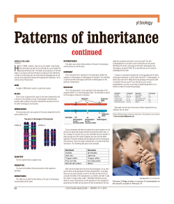continued - Youthlink Jamaica