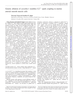 Genetic ablation of caveolin-1 modifies Ca2 spark coupling in