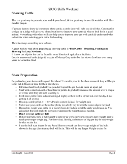 Equipment for Showing Cattle