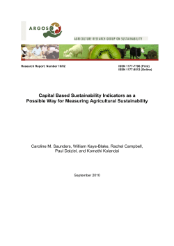 Capital Based Sustainability Indicators as a Possible Way