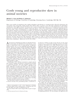 Costly young and reproductive skew in animal societies