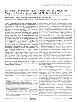 LXR-SREBP-1c-Phospholipid Transfer Protein