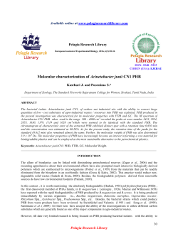 Molecular characterization of Acinetobacter junii CN1 PHB