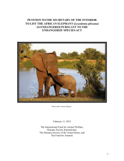 African Elephant ESA Petition - Humane Society International