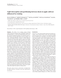 Light interception and partitioning between shoots in apple cultivars