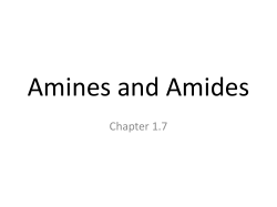 1.7 Amines and Amides