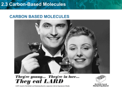 2.3 Carbon-Based Molecules