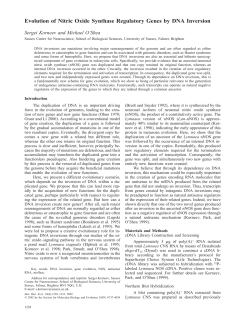 Evolution of Nitric Oxide Synthase Regulatory Genes by DNA