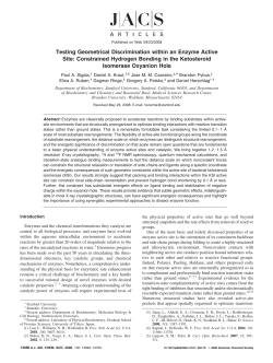 Testing Geometrical Discrimination within an Enzyme Active Site