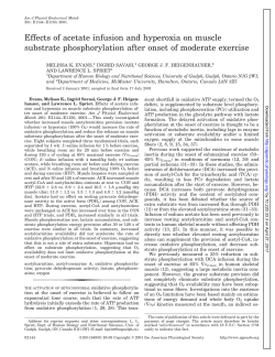 Effects of acetate infusion and hyperoxia on muscle substrate