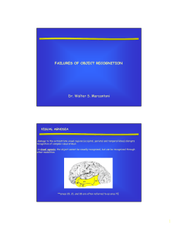 FAILURES OF OBJECT RECOGNITION Dr. Walter S