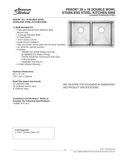 PEKOE&reg; 29 x 18 DOUBLE BOWL STAINLESS STEEL KITCHEN SINK
