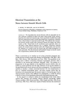 Electrical Transmission at the Nexus between Smooth Muscle Cells