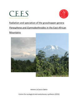 Radiation and speciation of the grasshopper genera